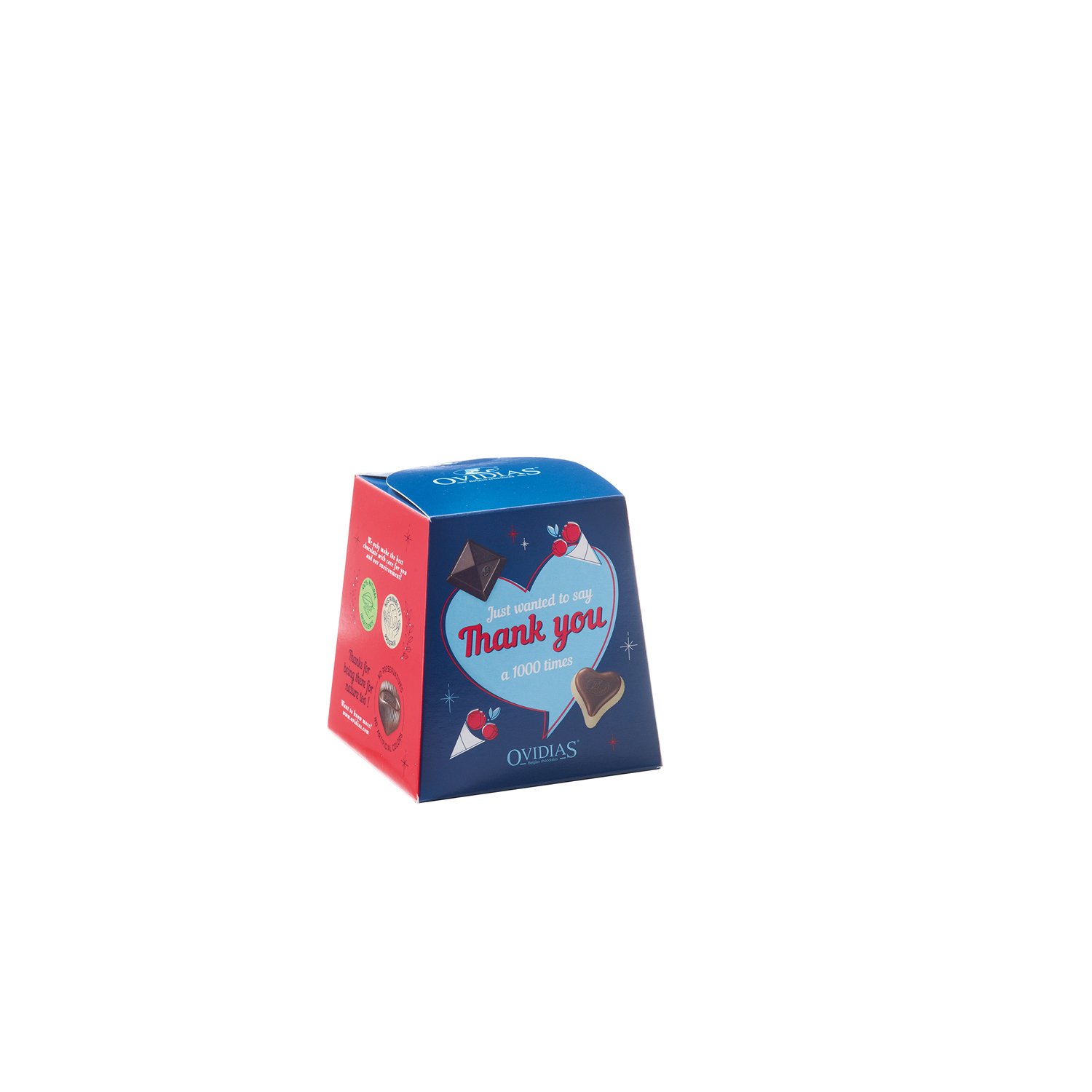 Thank You gift box of 13 flow wrapped assorted chocolates 12x200g